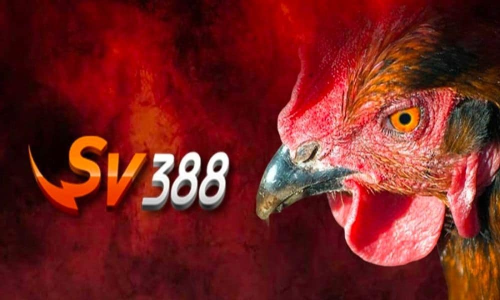 Tổng Hợp Kho Khuyến Mãi Sv388 Mới Nhất