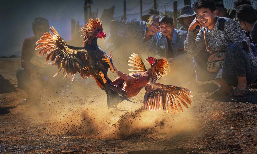 Tổng Hợp Kho Khuyến Mãi Sv388 Mới Nhất